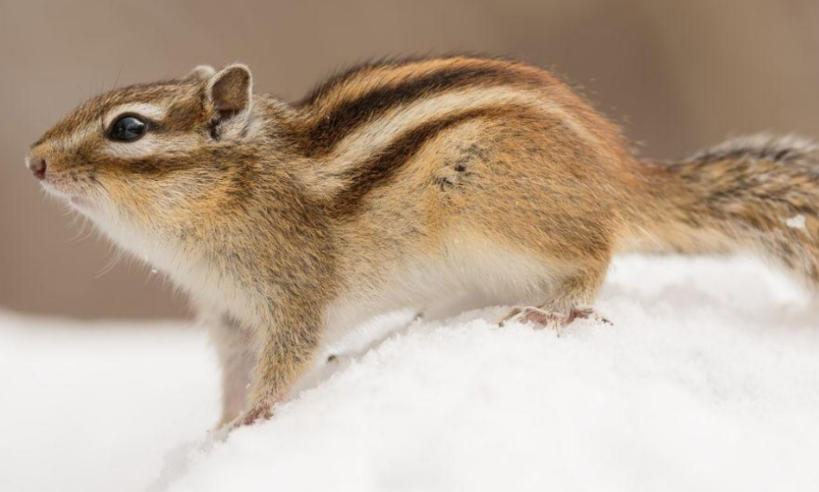 西安網頁設計公司輪播圖4