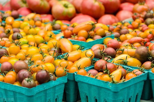 越南農產品 廣東消費者的“心頭好”