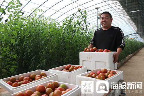 用地標性農產品打造莘縣高端精致農業名片