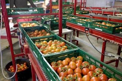 探索建設(shè)現(xiàn)代化農(nóng)產(chǎn)品市場(chǎng)物流體系，打通農(nóng)產(chǎn)品上行之路