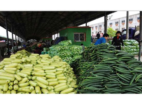 工廠蔬菜配送報(bào)價(jià) 農(nóng)產(chǎn)品供應(yīng)鏈的透明化與效率提升