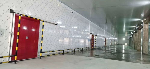 專業(yè)保鮮，智造未來(lái)——佛山食品保鮮冷庫(kù)工程廠家，為食品廠與農(nóng)產(chǎn)品提供全方位儲(chǔ)存方案