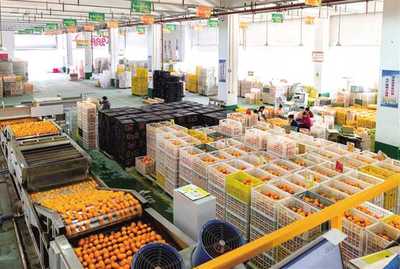 招商引資 驅(qū)動(dòng)重慶從“味覺(jué)高地”邁向“產(chǎn)業(yè)高地”的農(nóng)業(yè)引擎